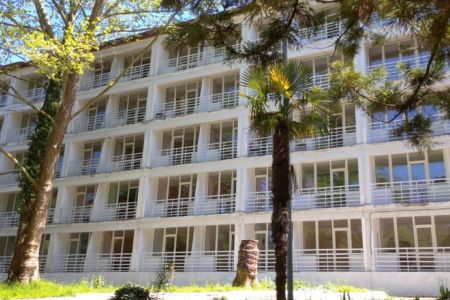 Внешний вид