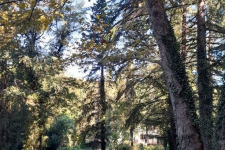 Территория пансионата