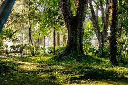 Вид на Главный корпус