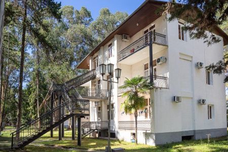 Внешний вид