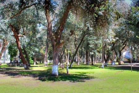 Территория пансионата