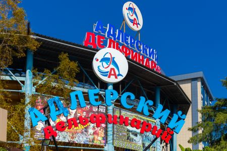 Внешний вид