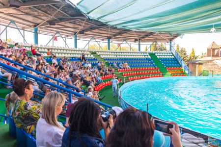 Внешний вид