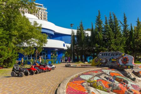 Внешний вид