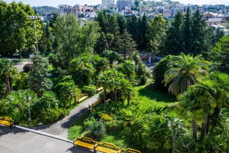 Внешний вид