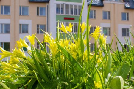 Вид на корпус