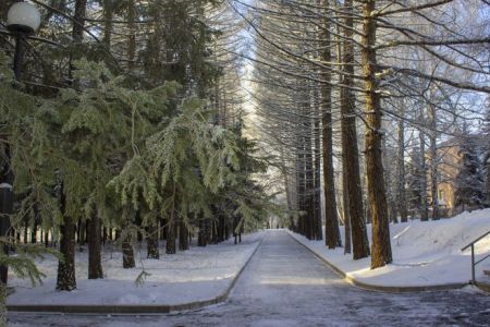 Вид на корпус