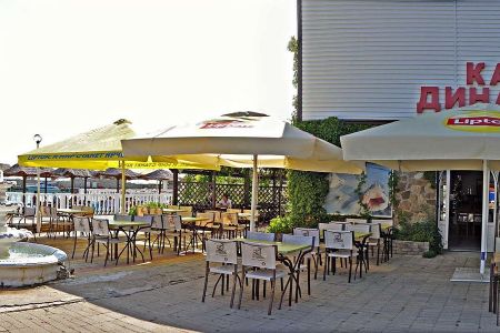 Внешний вид