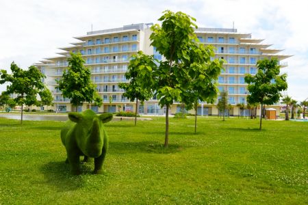 Внешний вид, бассейн