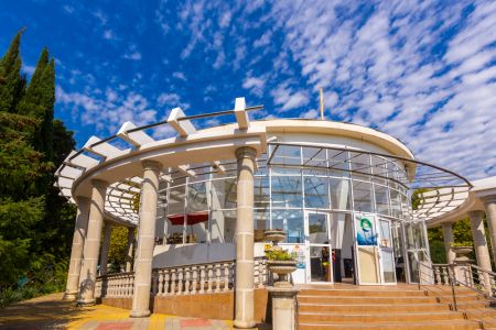 Внешний вид