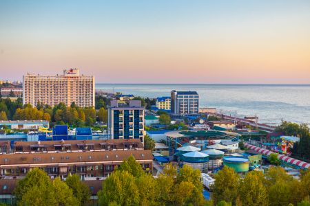 Внешний вид