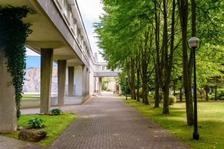 Внешний вид