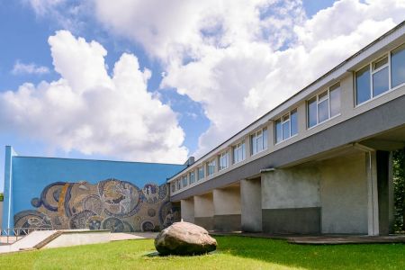 Внешний вид