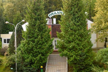 Внешний вид