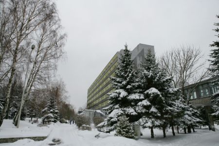 Внешний вид