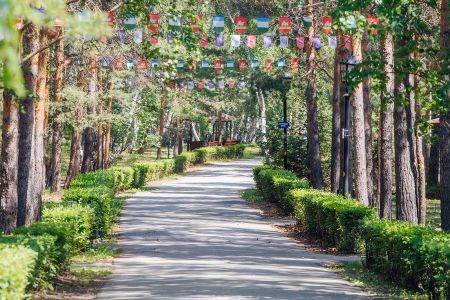 Внешний вид