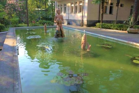 Территория пансионата