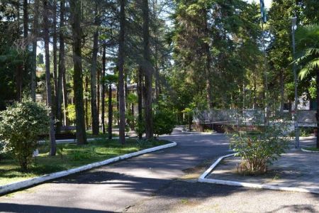 Территория пансионата