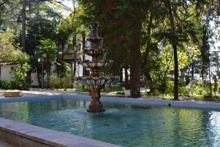 Территория пансионата