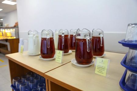 Адлеркурорт, корпус Нептун 3 звезды