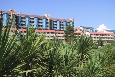 Внешний вид