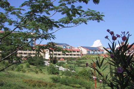 Внешний вид