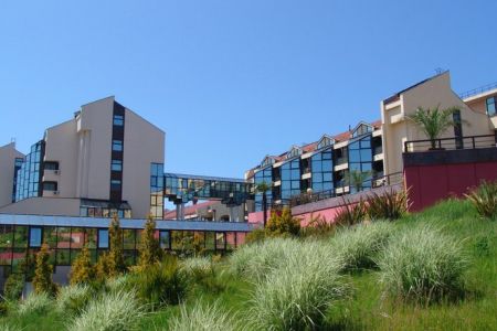 Внешний вид