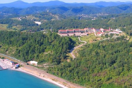 Внешний вид