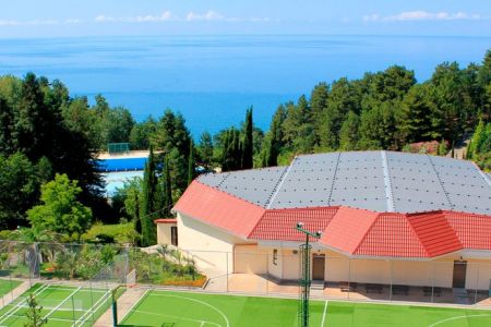 Внешний вид