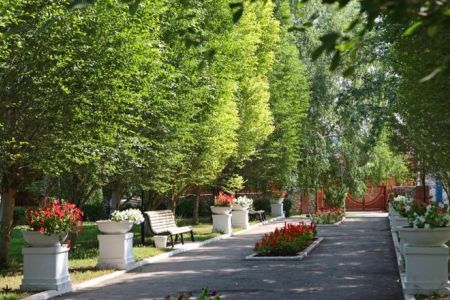 Вид на бассейн и корпус отеля