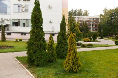 Отдых у открытых бассейнов