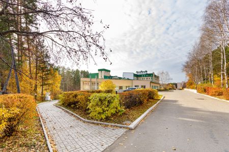 Внешний вид