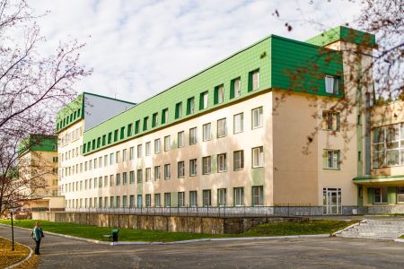 Внешний вид