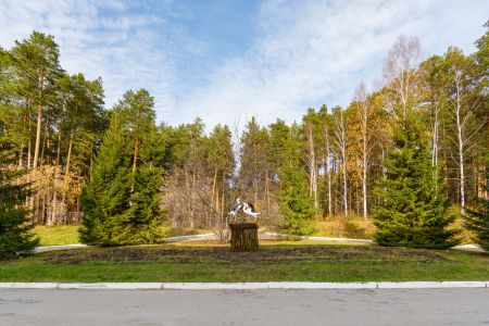 Внешний вид