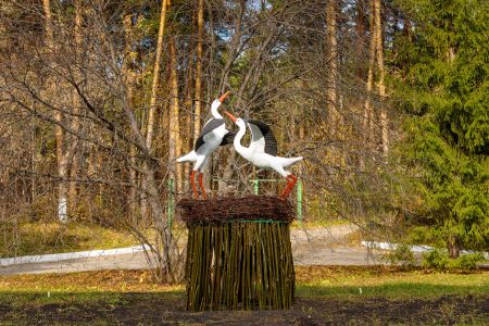 Внешний вид