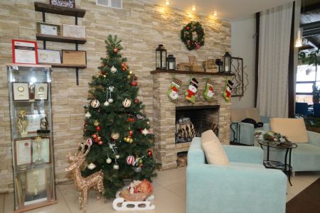 Внешний вид Crona