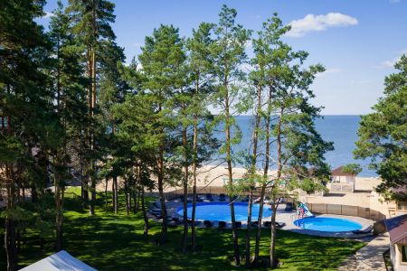 Внешний вид Crona