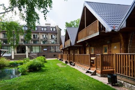 Внешний вид Crona