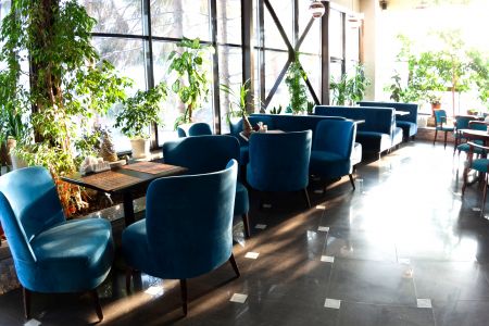 Внешний вид Crona