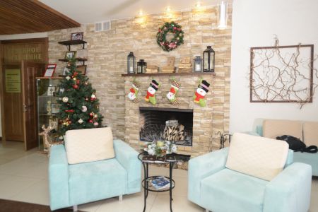 Внешний вид Crona