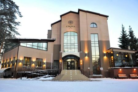 Внешний вид Crona