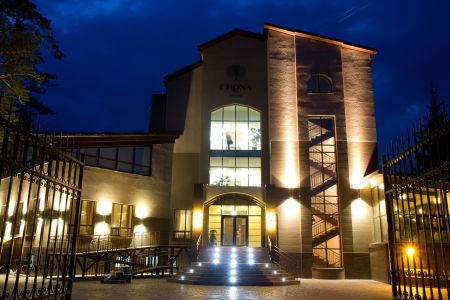 Внешний вид Crona