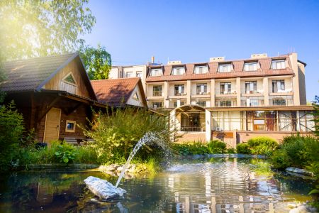 Внешний вид Crona