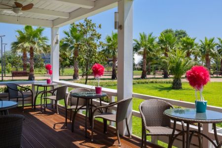 Шведский стол