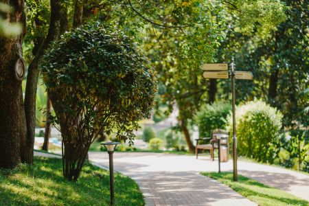 Территория