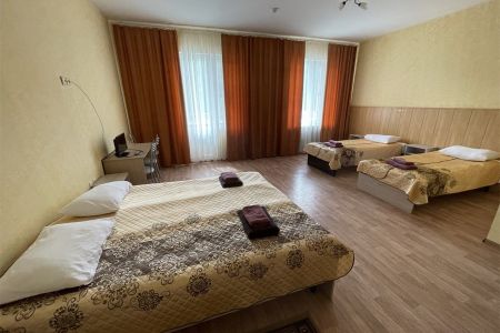 Люкс 2-местный 2-комнатный (Дворянское гнездо)