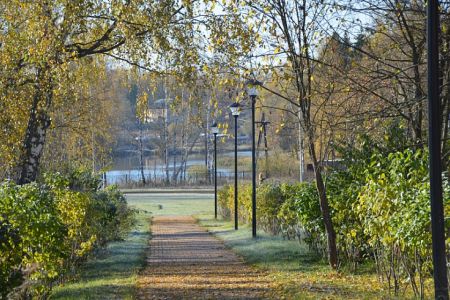 Внешний вид