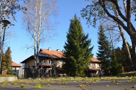 Внешний вид