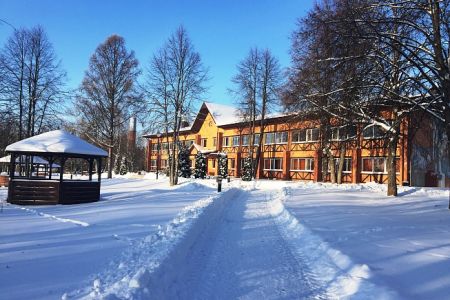 Внешний вид