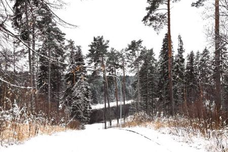 Полулюкс 2-местный Джуниор Сьют (корпус Театральный)